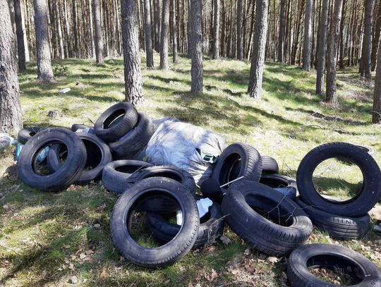 Warszkowo: Porzucił odpady samochodowe w lesie. Zostanie ukarany? 