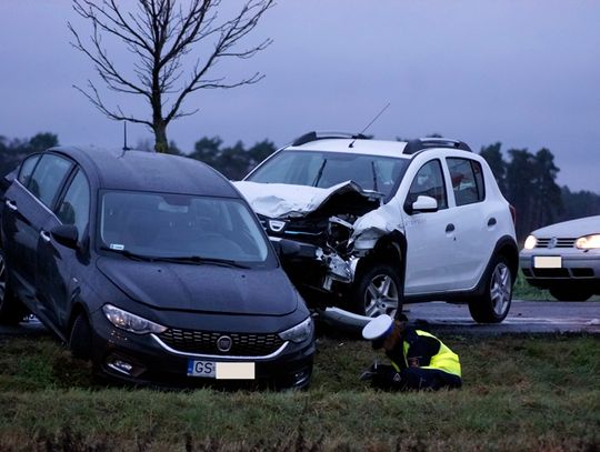 Warszkowo – Wrześnica: Winna wataha psów?