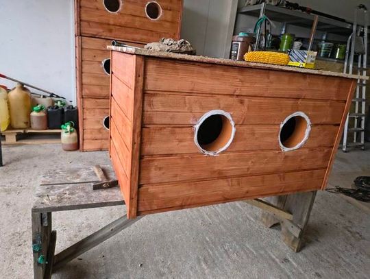 Włożyli serce, aby ogrzać zwierzaki