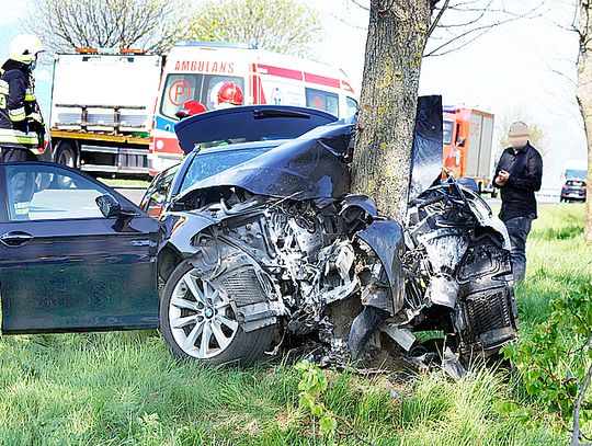 Wrześnica – Warszkowo  BMW opasało drzewo