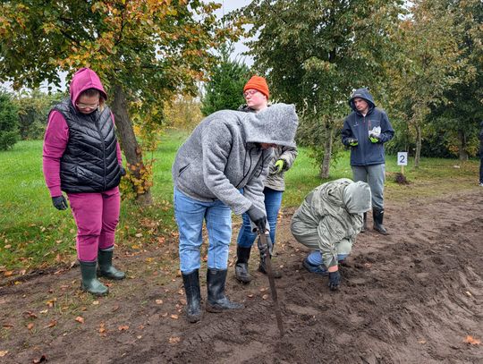 Podopieczni WTZ Terapeutica Sławno świętowali 50-lecie Nadleśnictwa Sławno, sadząc drzewa w Parku 700-lecia.
