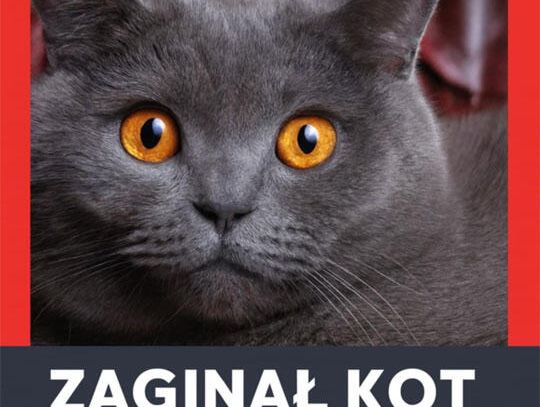 Zaginął kot - nagroda