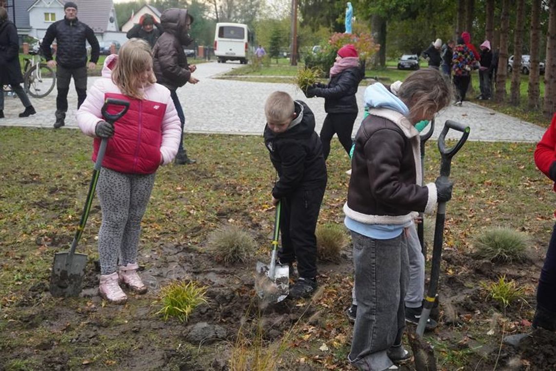 Boleszewo: Róże dla Najświętszego Serca Jezusa