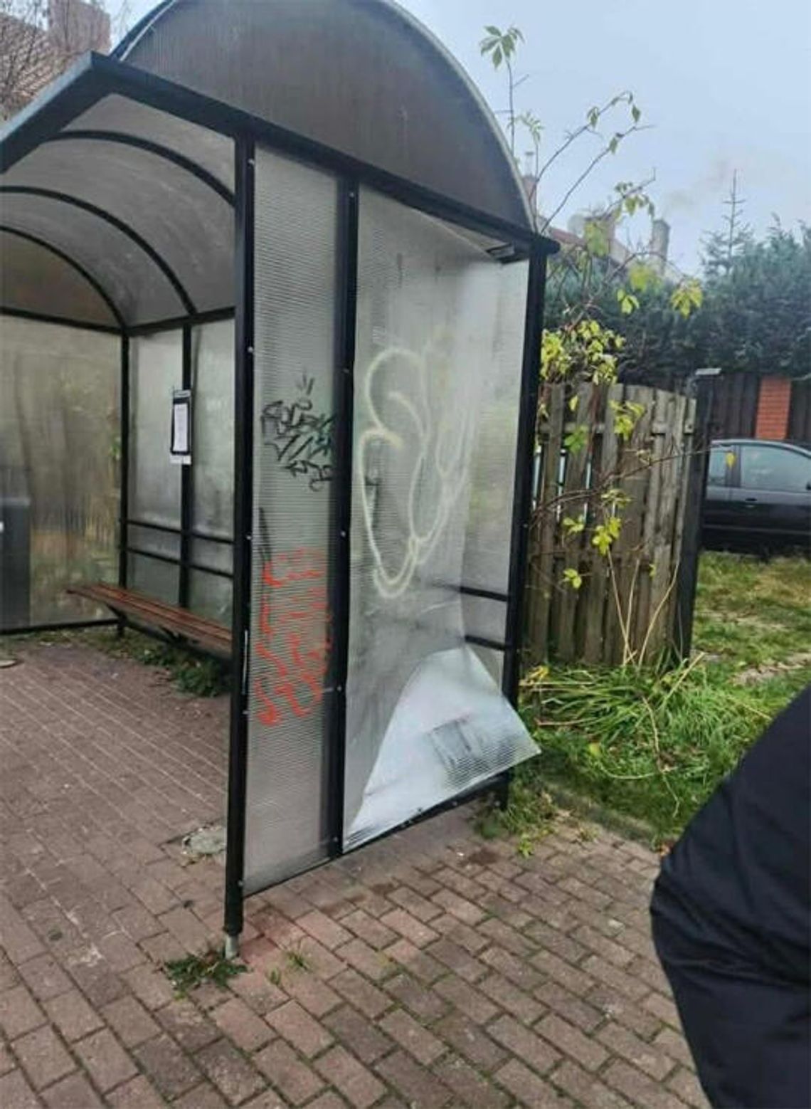 Co robią nasze kochane dzieci w czasie wolnym?