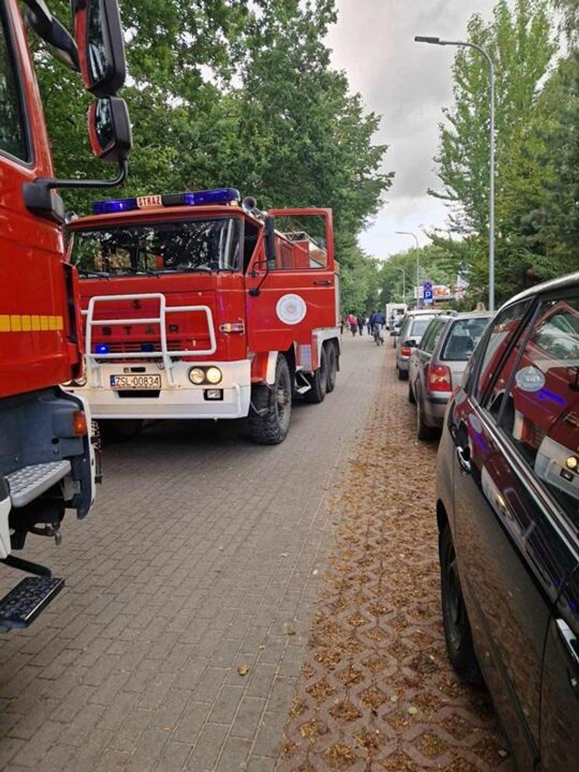Fałszywy alarm w Wiciu