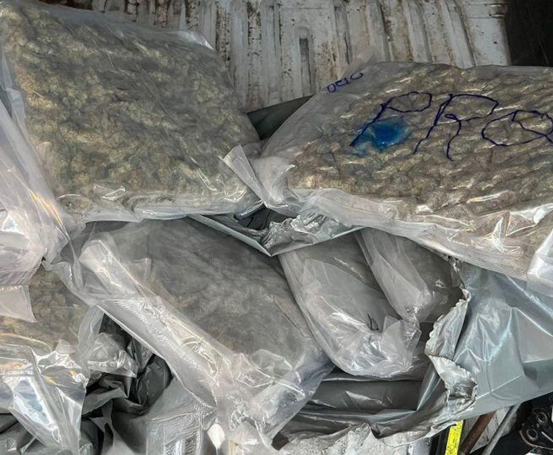 Jechał poobijanym autem, a w środku przewoził marihuanę