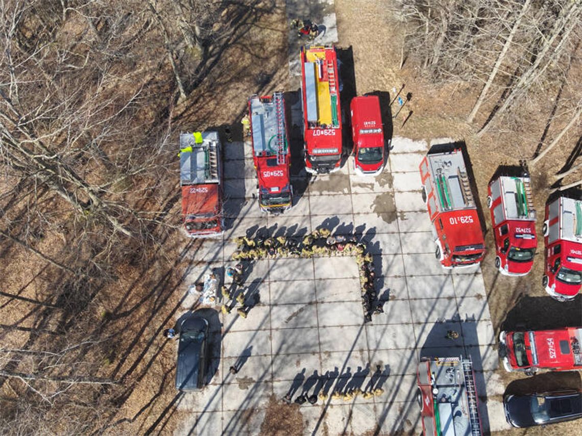 Jedni grillowali, a INNI ratowali las!