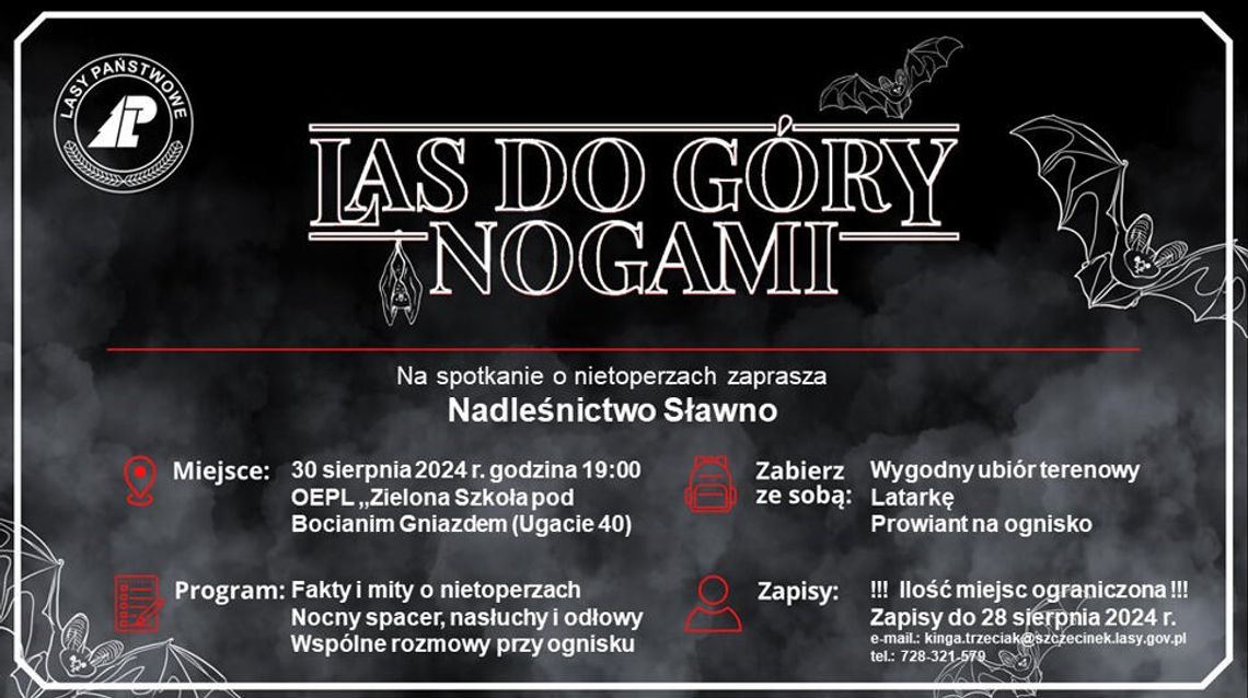 Las do góry nogami - Zaproszenie na Noc Nietoperzy