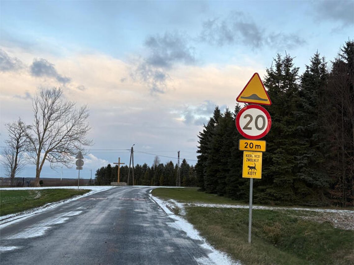 Marszewo: Uwaga koty!