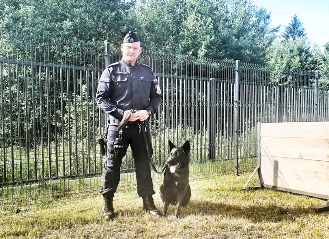 Mielno: Nabat – policyjny pies ze Sławna doprowadził do sprawców rozboju