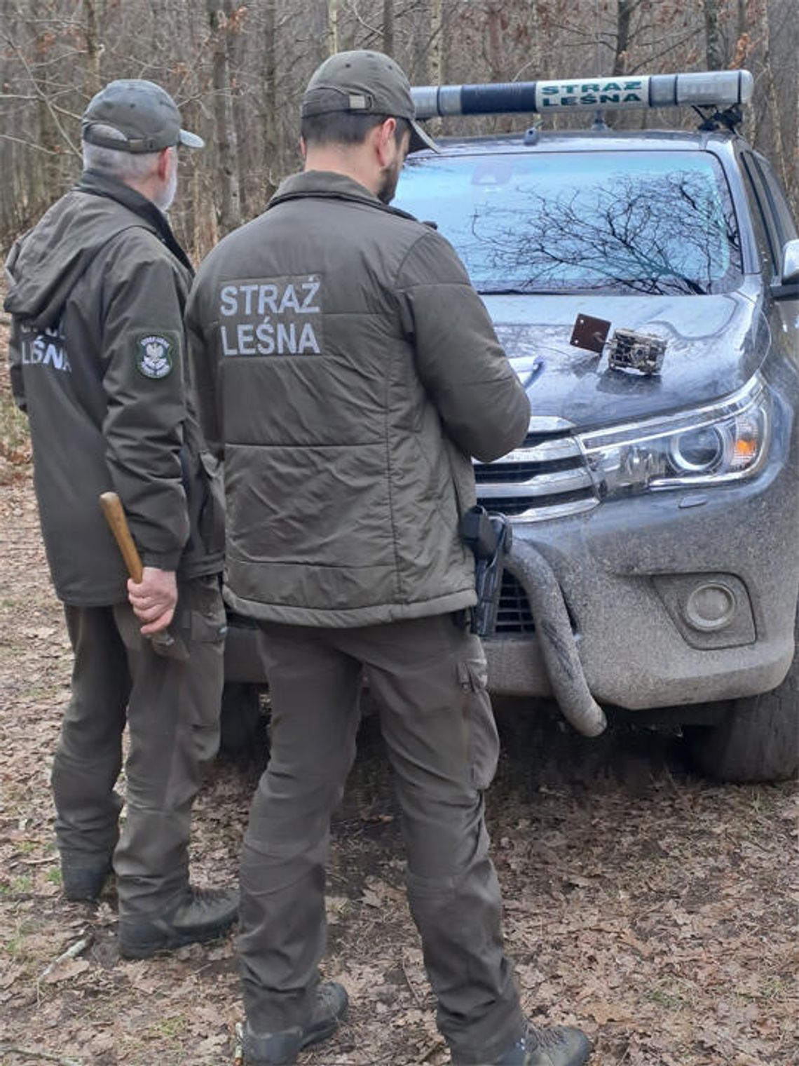 Monitoring ograniczy kradzież drewna i zaśmiecanie lasów