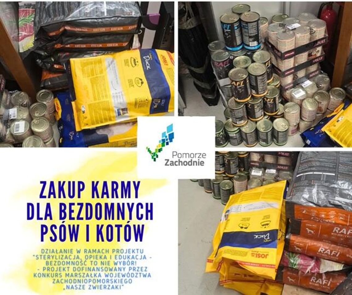 Niosąc pomoc bezdomnym czworonogom