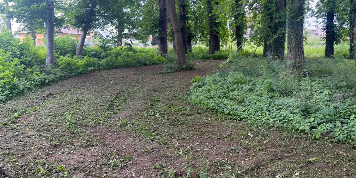 Nowe ścieżki spacerowe w Parku Conrada już w 2026 roku Nowe ścieżki spacerowe w Parku Conrada już w 2026 roku