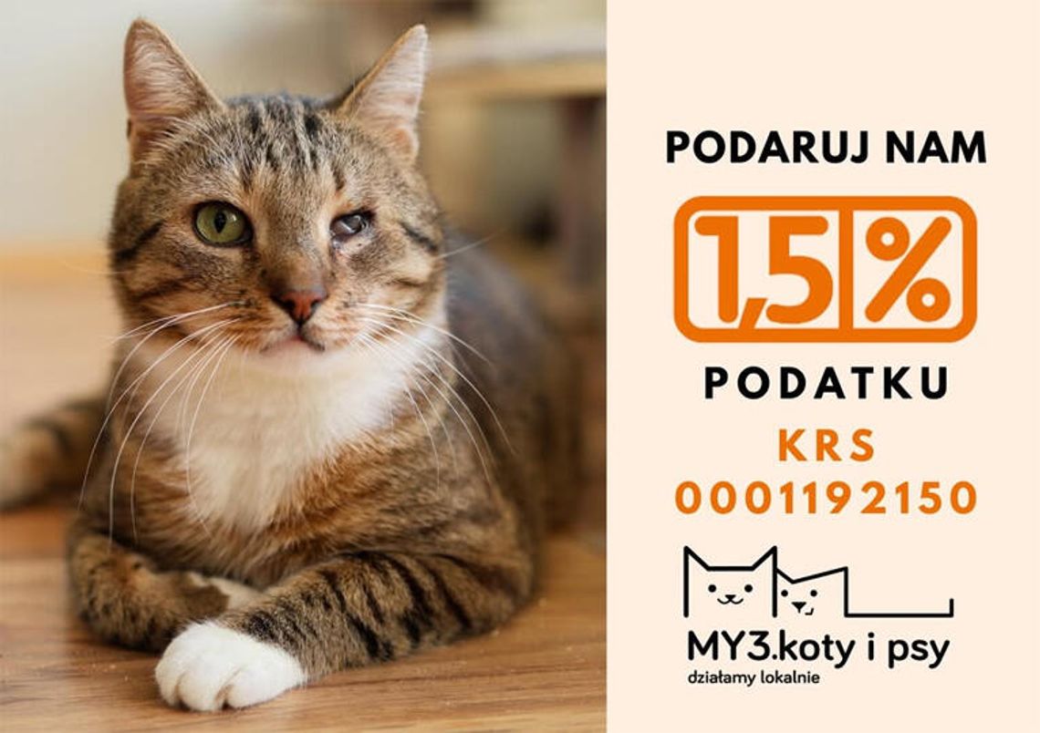 Podaruj swój 1,5% podatku dla Stowarzyszenia "My trzy, koty i psy"