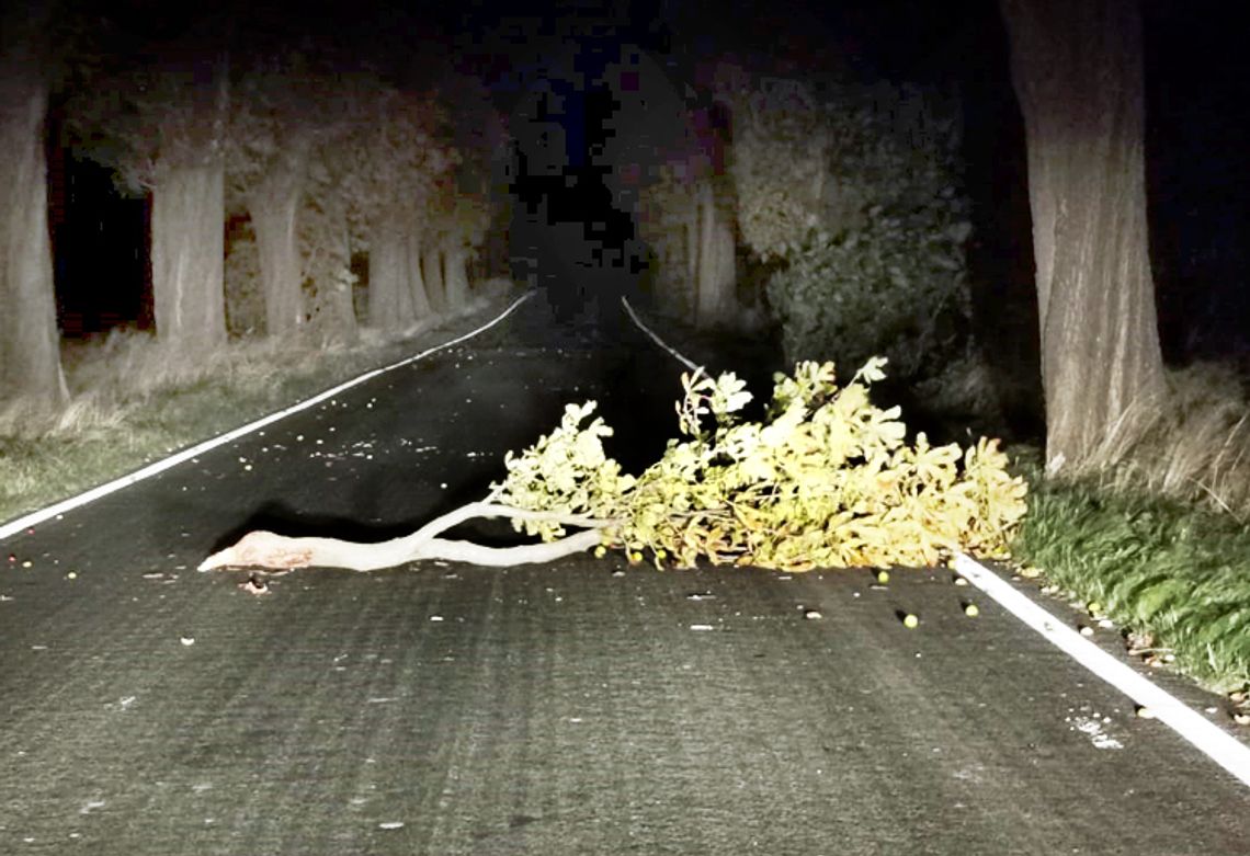 Powiat sławieński: Porywisty wiatr powoduje szkody