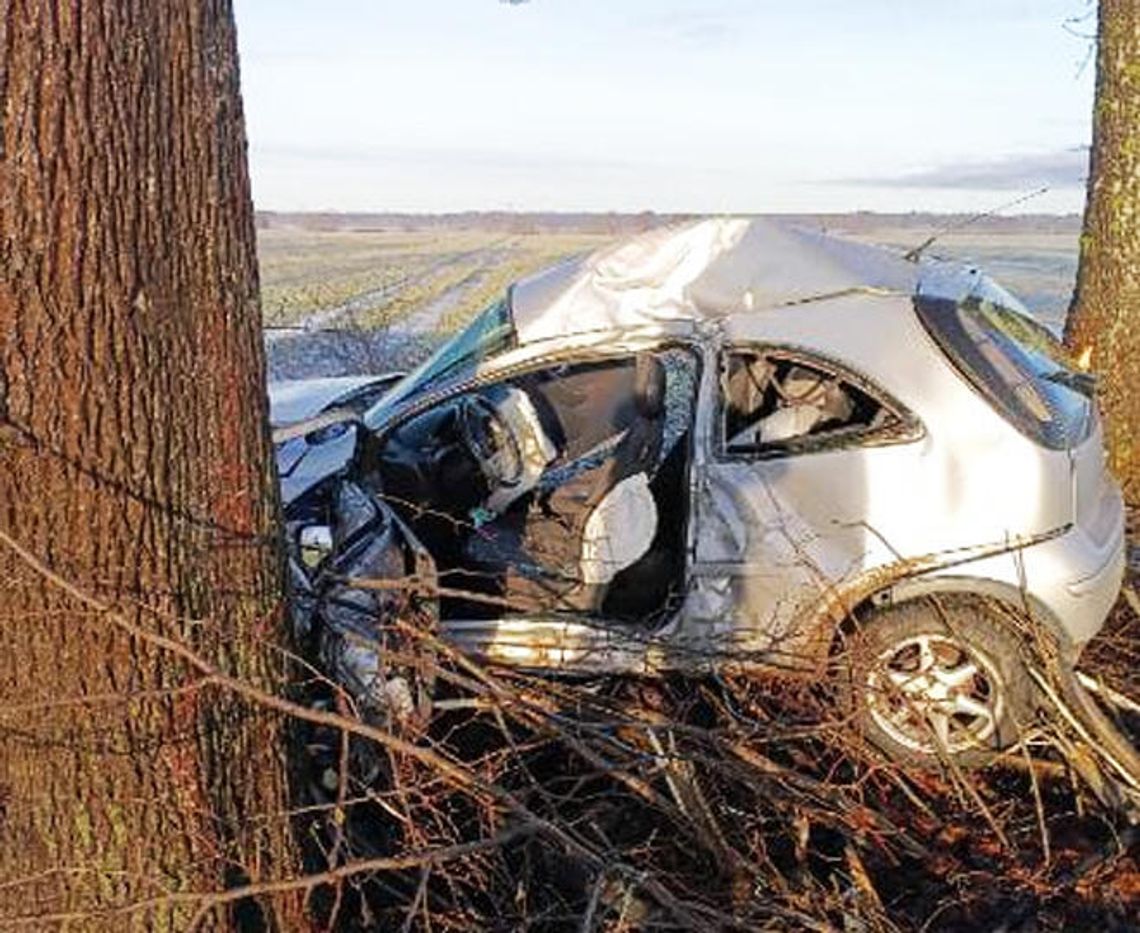 Sławno-Sławsko: Corsą w drzewo