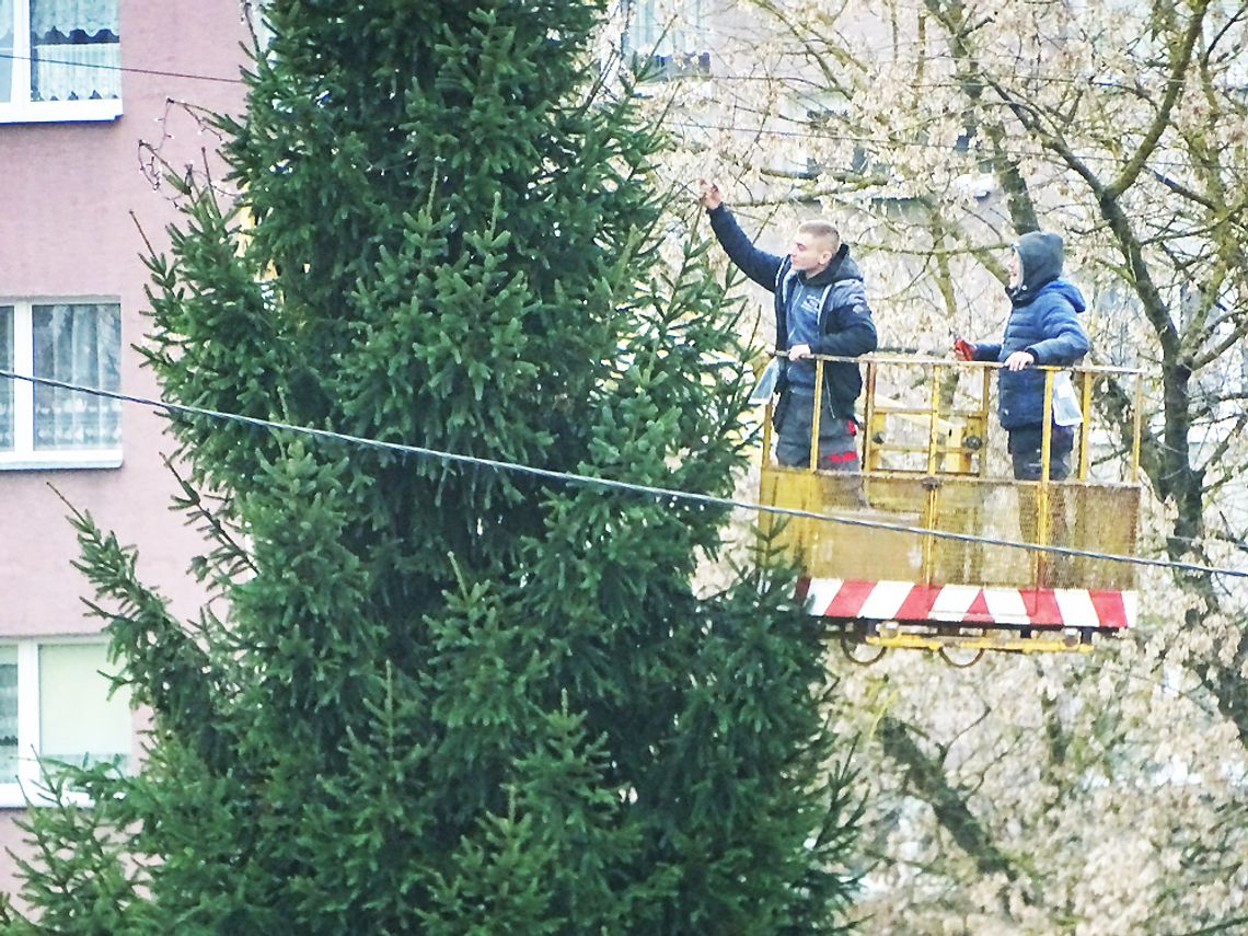 Sławno: Ubierają świąteczną choinkę...