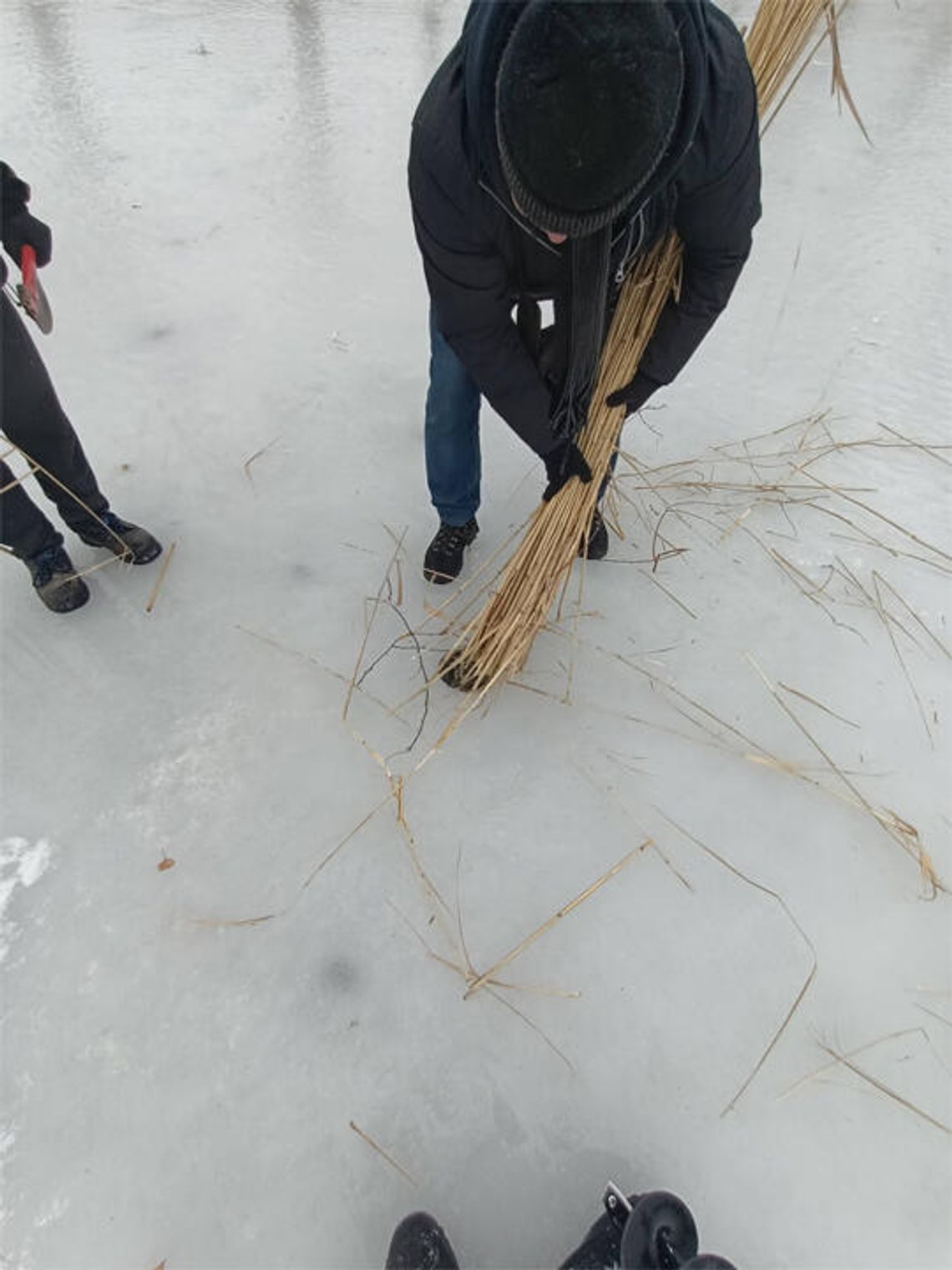 Sławno: Wycięcie przerębli na Stawach Miejskich Sławno: Wycięcie przerębli na Stawach Miejskich