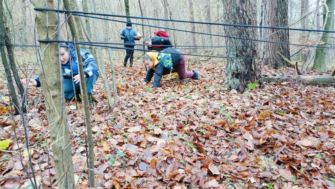 Staniewice: Leśne gry terenowe Staniewice: Leśne gry terenowe