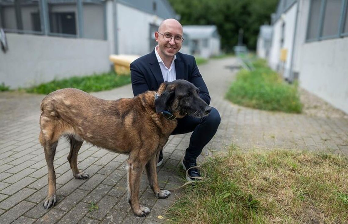 W trosce o czworonogi