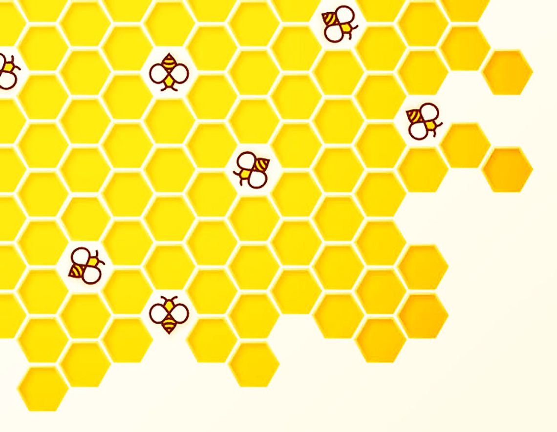 W trosce o rodziny pszczół