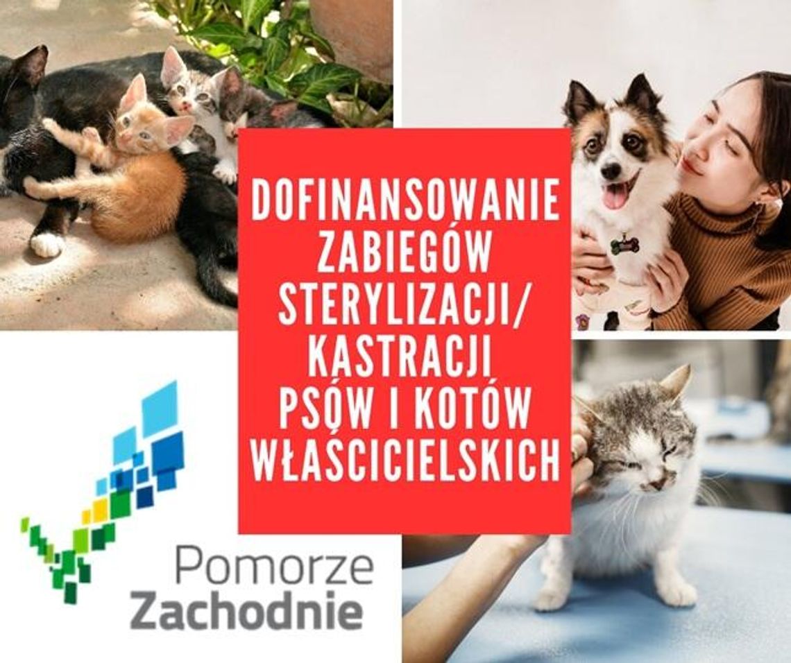 W trosce o zwierzęta W trosce o zwierzęta