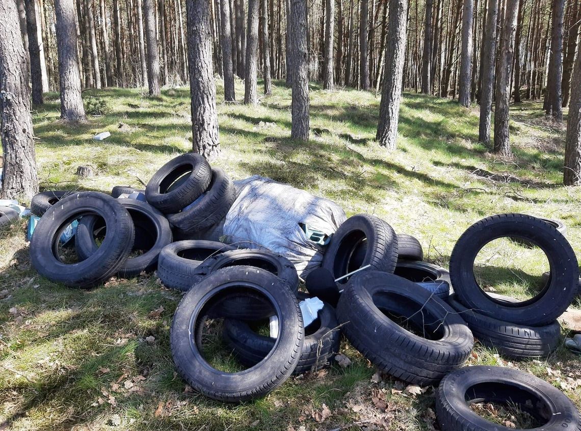 Warszkowo: Porzucił odpady samochodowe w lesie. Zostanie ukarany? 