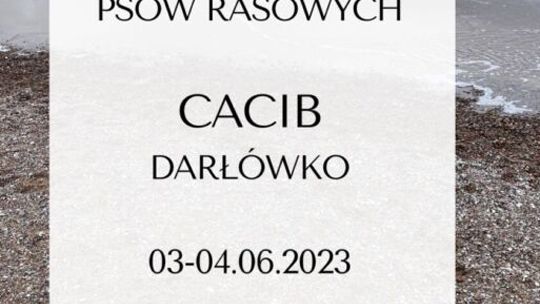 Darłówko: IV Międzynarodowa Wystawa Psów Rasowych CACIB