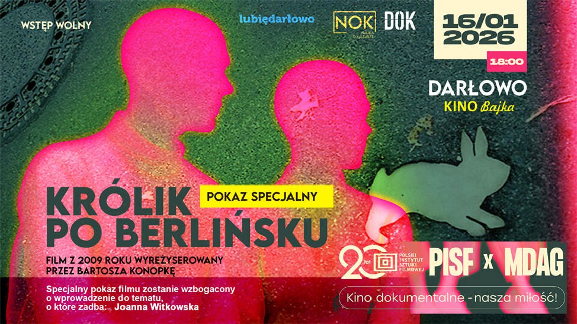 Darłowo: Królik po Berlińsku: kino dokumentalne – nasza miłość!