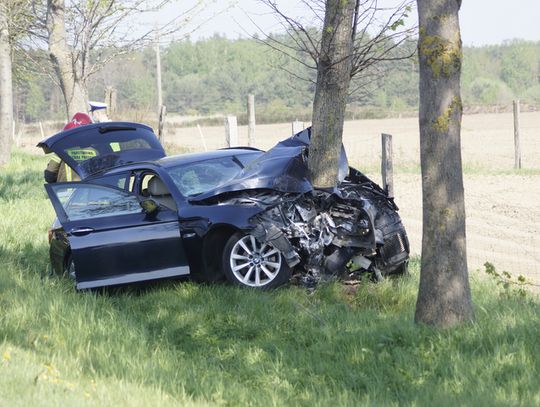 Wrześnica - Warszkowo: na "krajowej szóstce" BMW uderzyło w drzewo