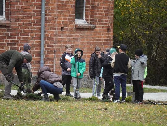 Boleszewo: Sadzenie róż koło kościoła