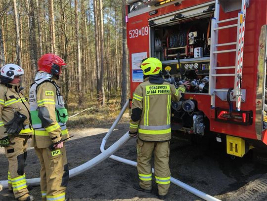 Jedni grillowali a inni ratowali las!